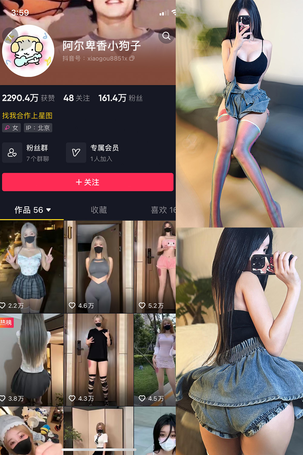 抖音 阿尔卑香小狗子 微密圈 NO.027期 【7P】最新至:
