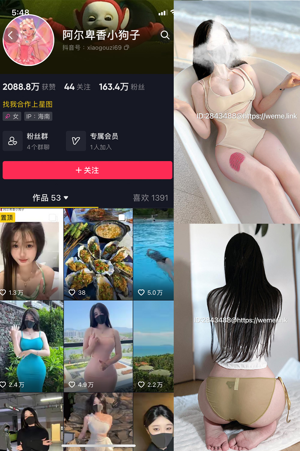 抖音 阿尔卑香小狗子 微密圈 NO.013期 【46P】最新至：2023.7.31