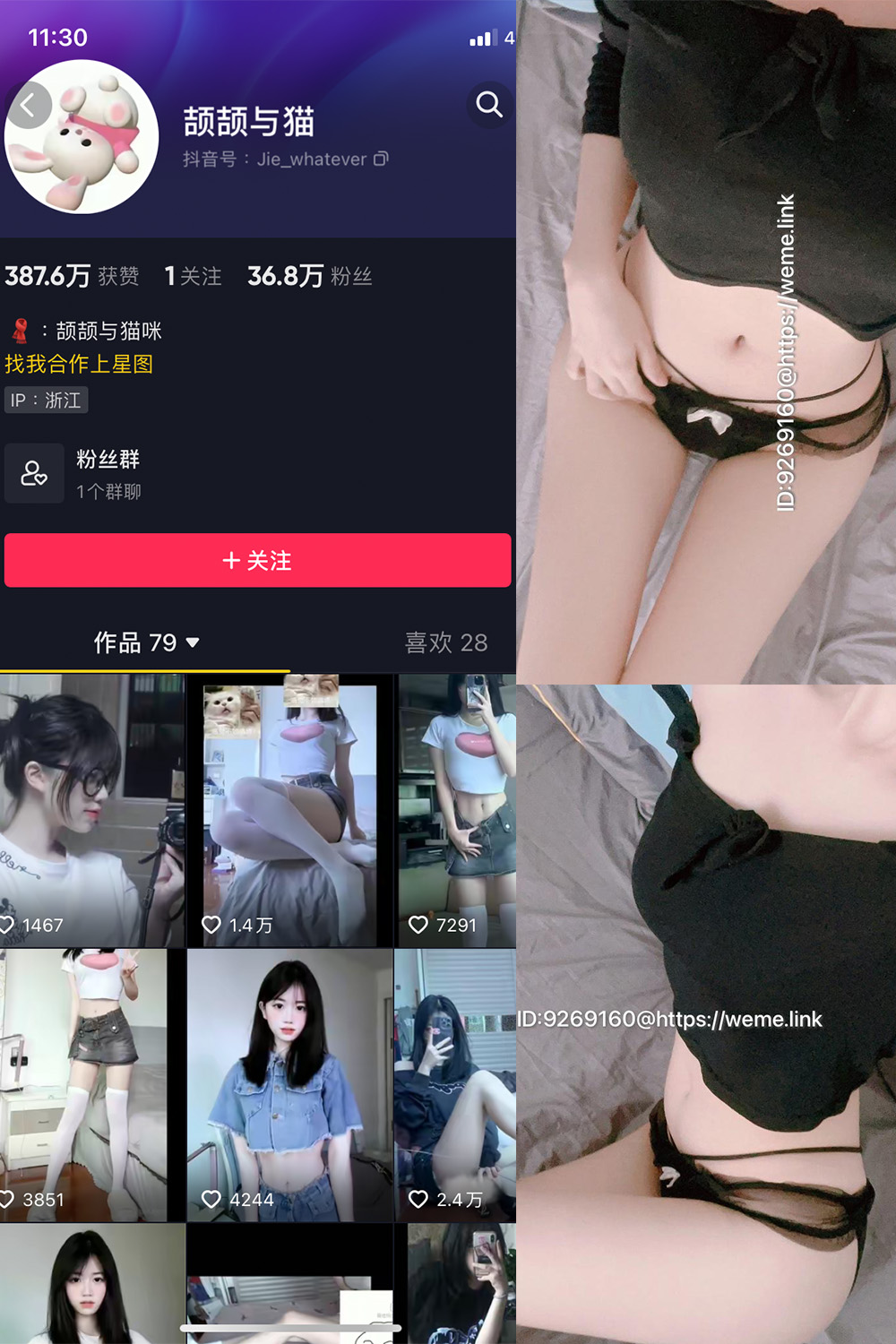 抖音 颉颉与猫 微密圈 NO.004期 【9P14V】最新至:2023.10.14