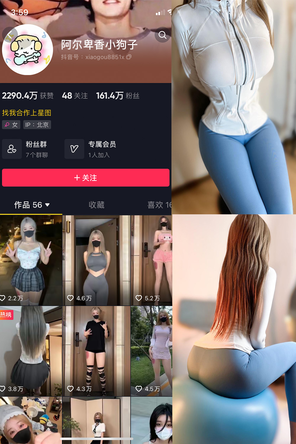 抖音 阿尔卑香小狗子 微密圈 NO.029期 【30P】最新至: