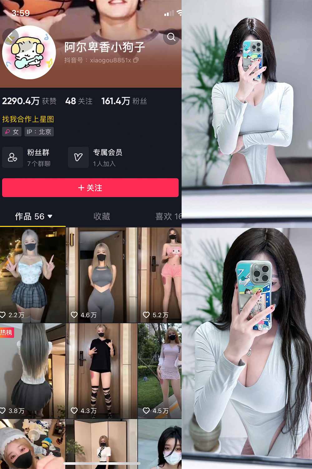 抖音 阿尔卑香小狗子 微密圈 NO.041期 【10P2V】最新至:
