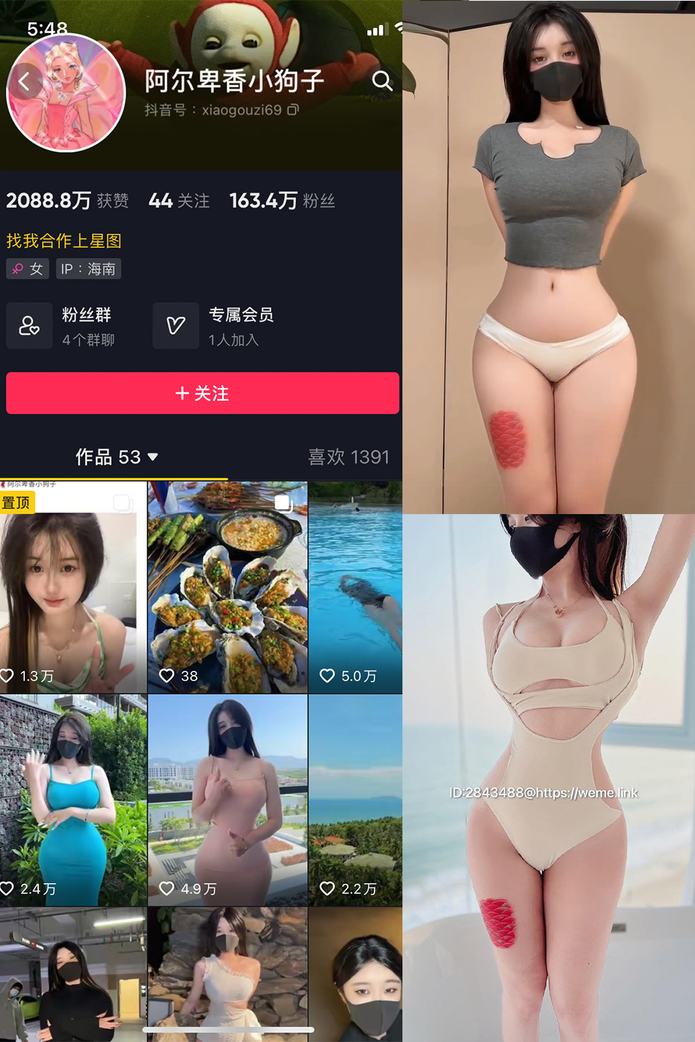 抖音 阿尔卑香小狗子 微密圈 NO.012期 【7P1V】最新至：