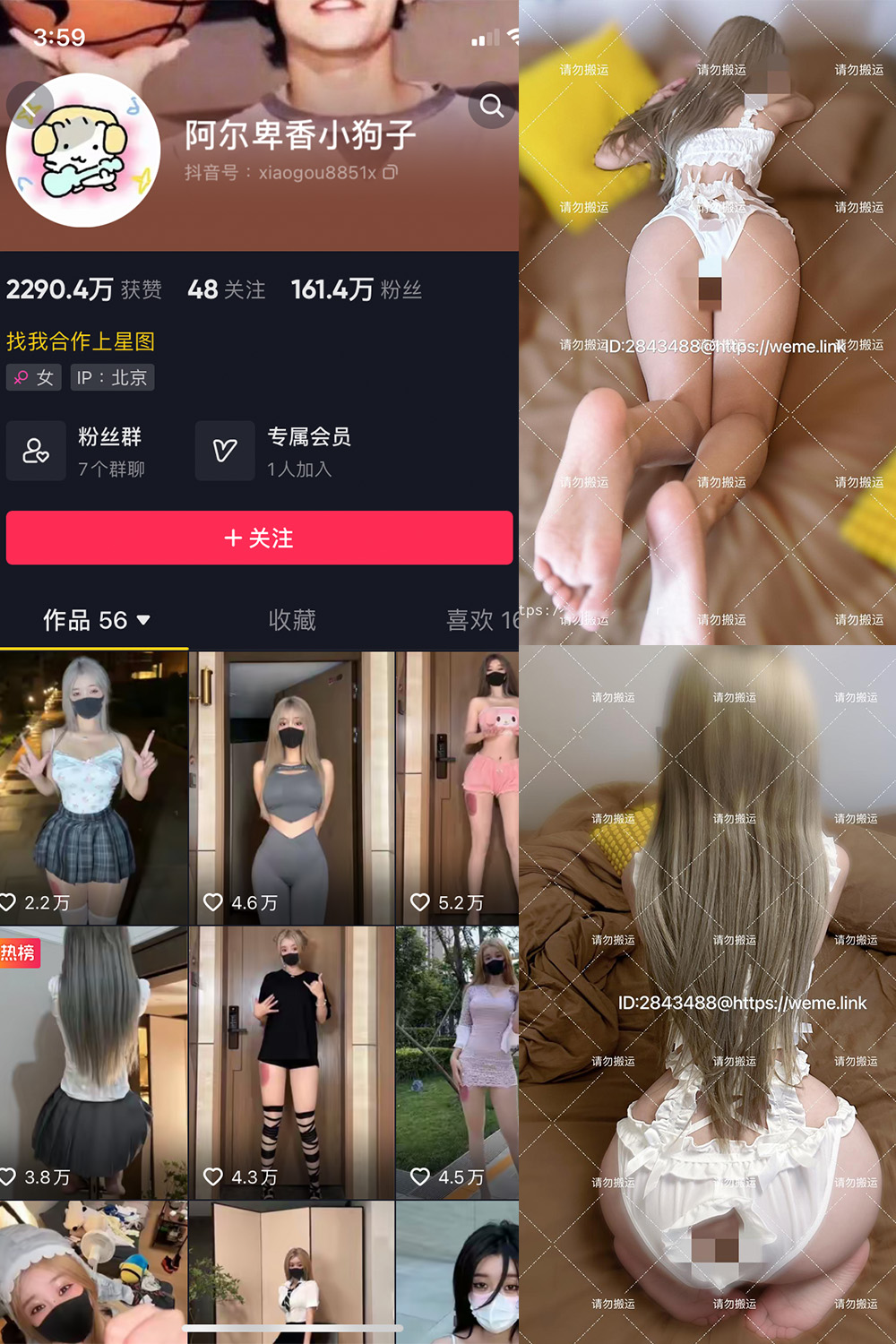 抖音 阿尔卑香小狗子 微密圈 NO.018期 【16P1V】最新至:
