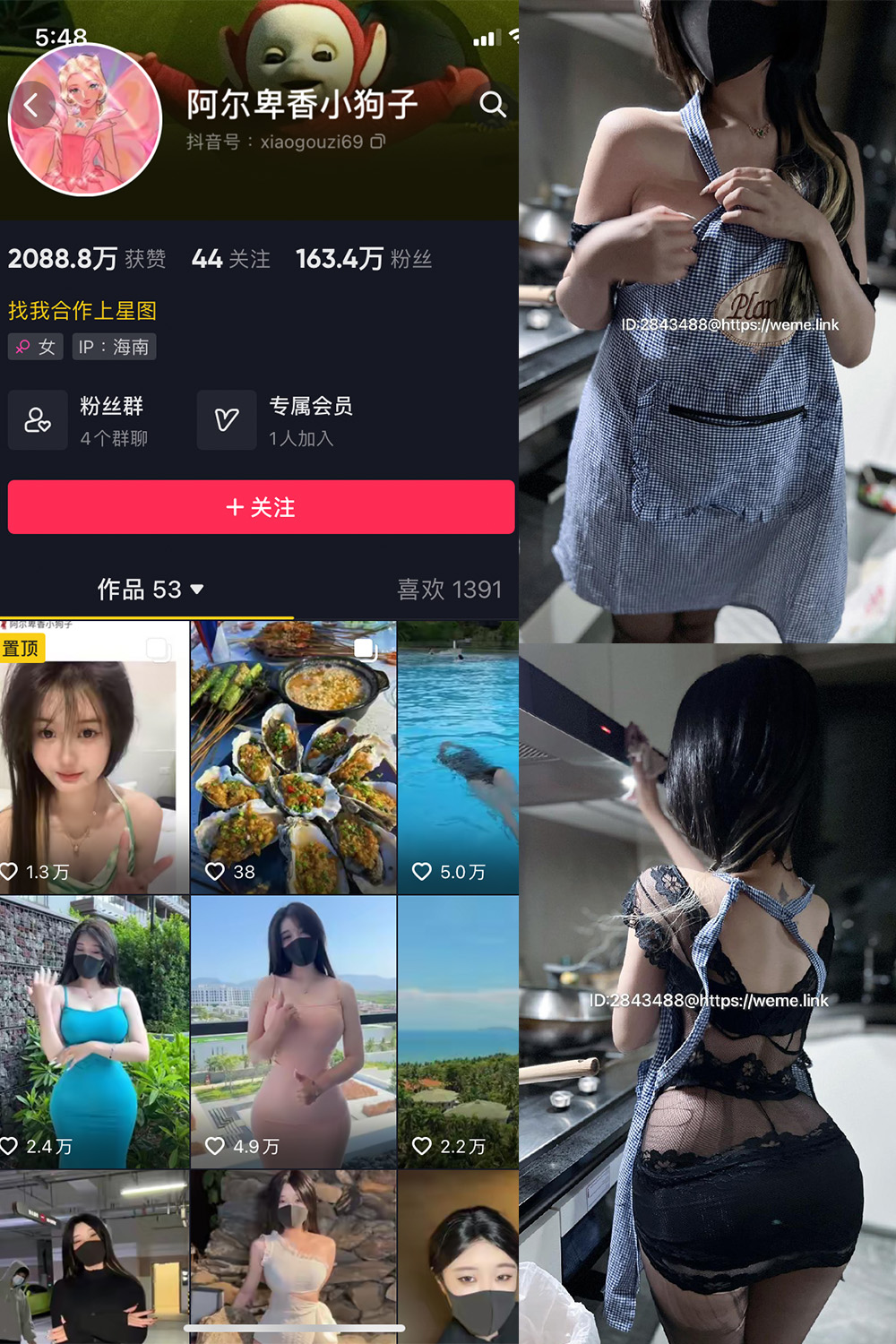抖音 阿尔卑香小狗子 微密圈 NO.009期 【37P】最新至: