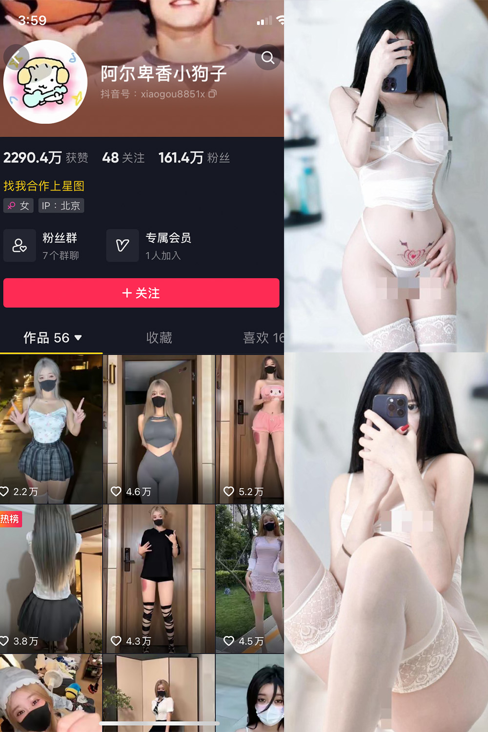 抖音 阿尔卑香小狗子 微密圈 NO.043期 【18P1V】最新至: