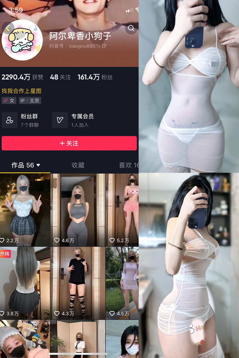 抖音 阿尔卑香小狗子 微密圈 NO.028期 【33P】最新至: