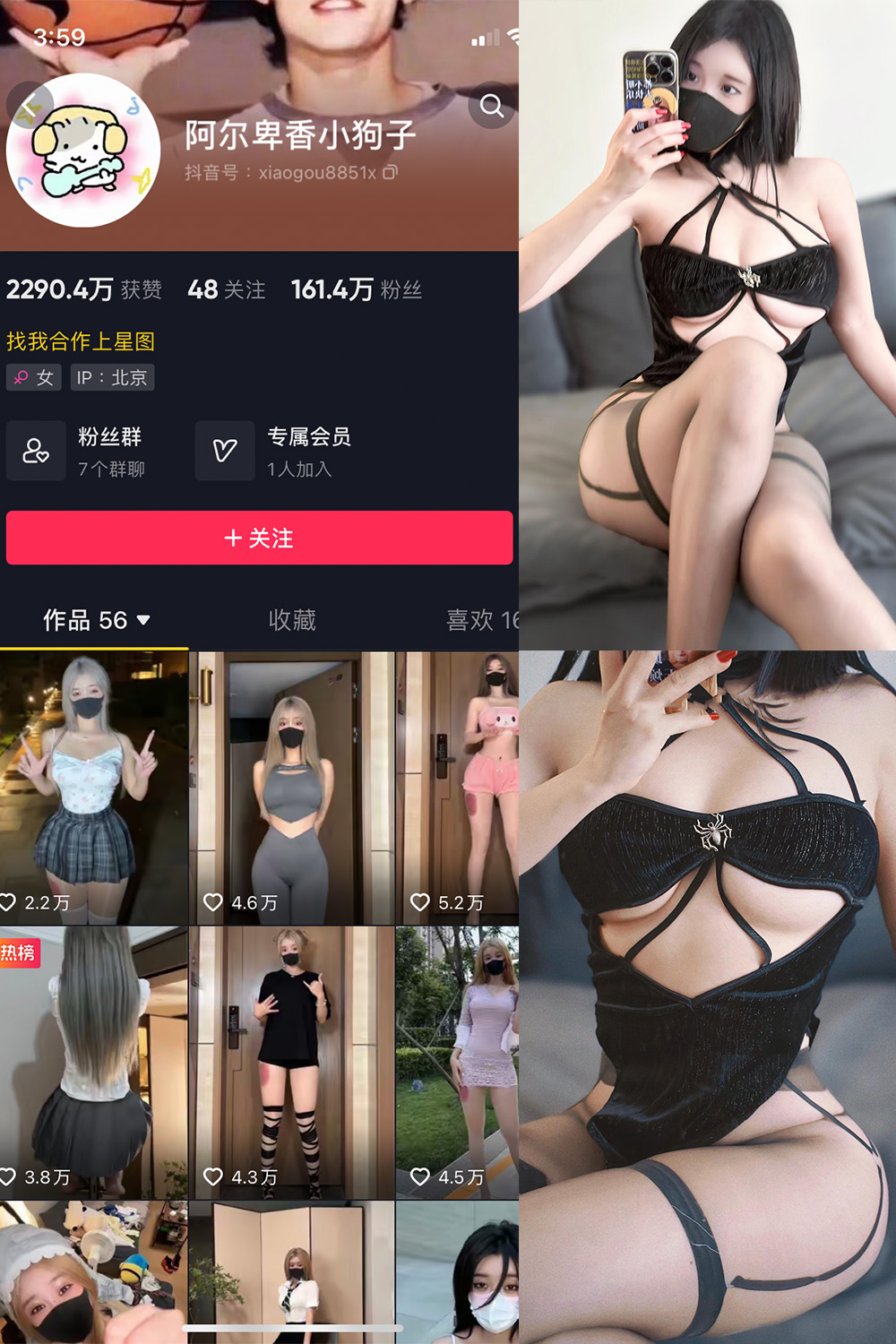 抖音 阿尔卑香小狗子 微密圈 NO.019期 【14P1V】最新至：