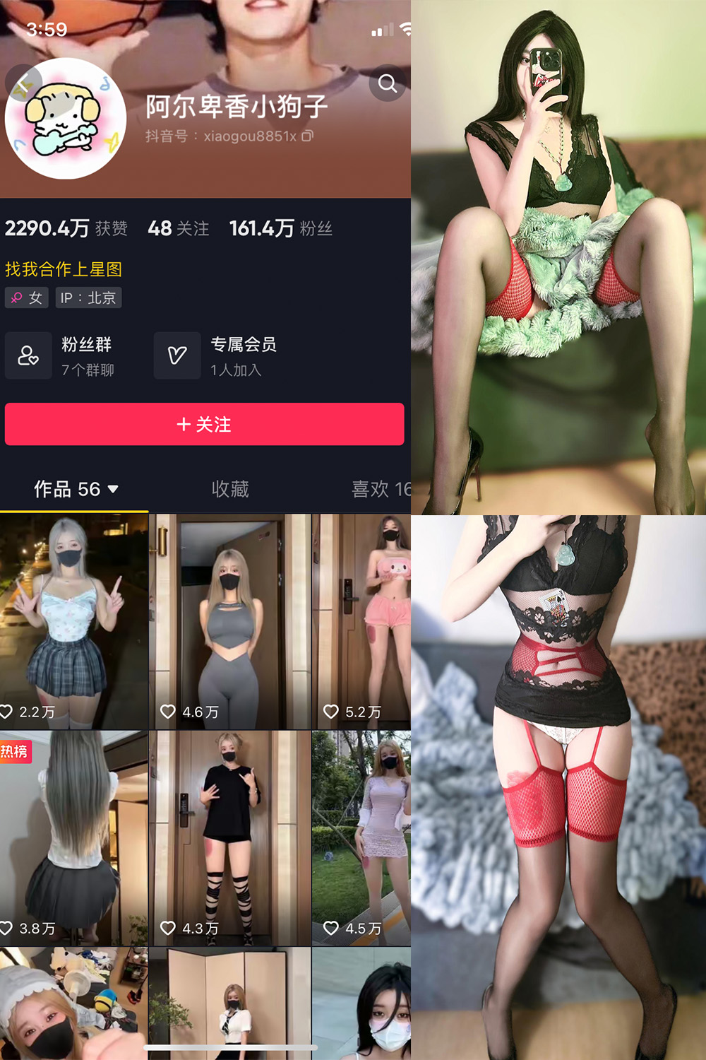 抖音 阿尔卑香小狗子 微密圈 NO.034期 【26P】最新至: