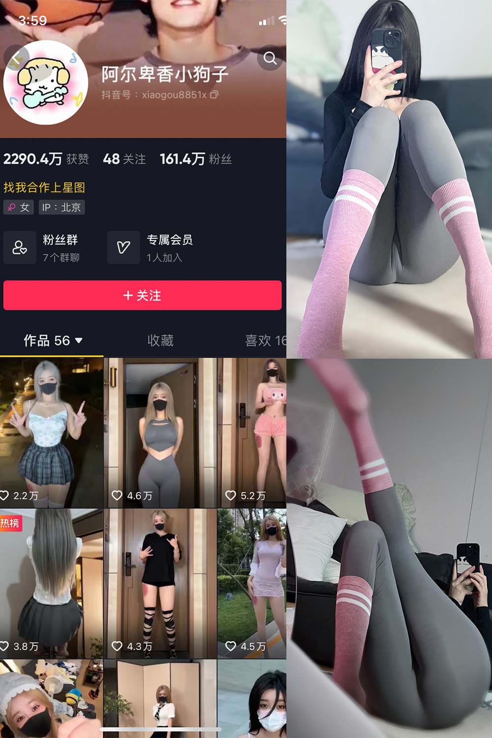 抖音 阿尔卑香小狗子 微密圈 NO.038期 【10P】最新至:
