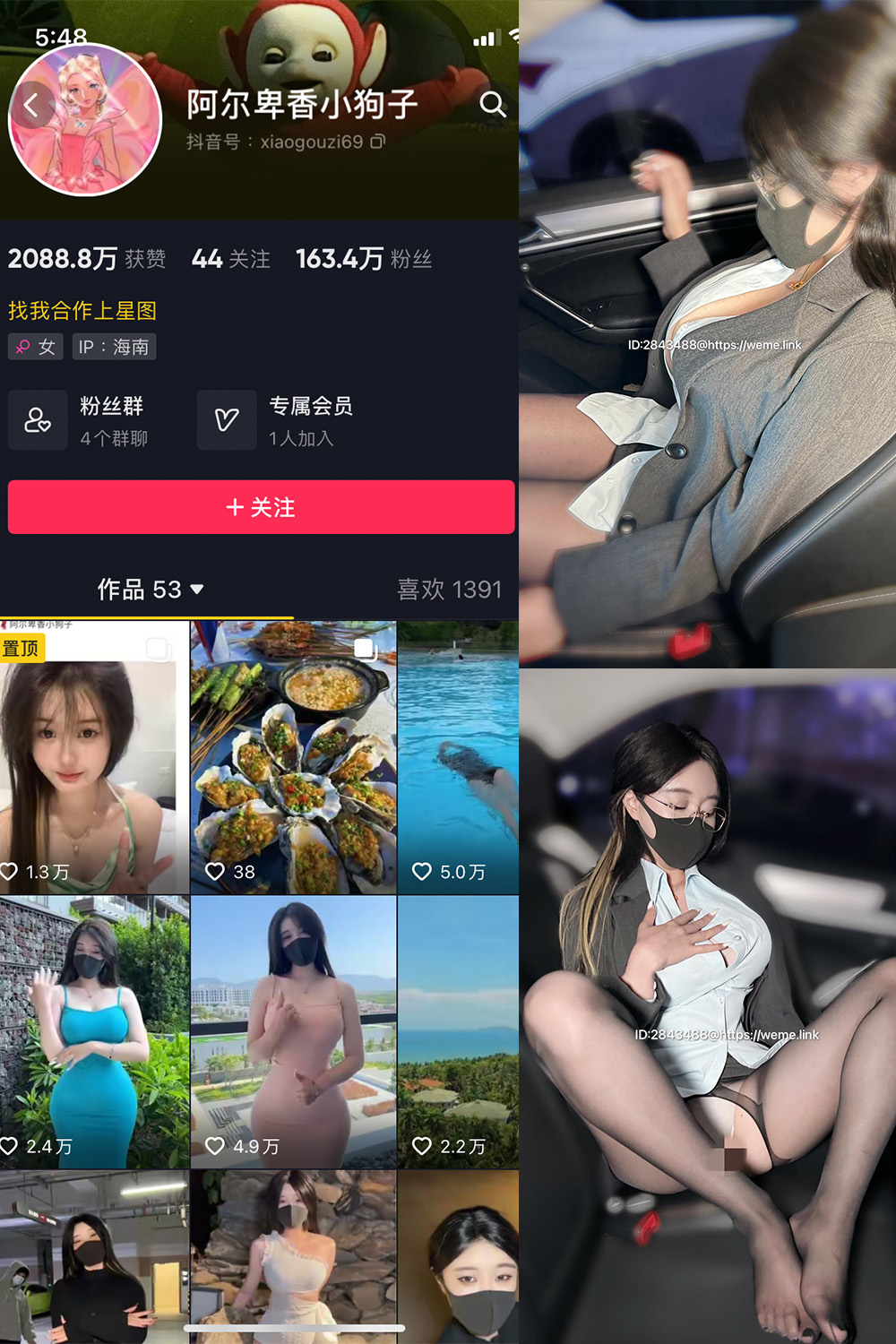 抖音 阿尔卑香小狗子 微密圈 NO.007期 【15P】最新至：