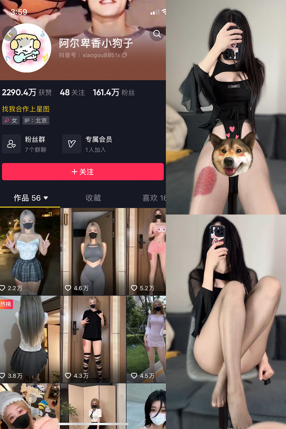 抖音 阿尔卑香小狗子 微密圈 NO.026期 【8P1V】最新至: