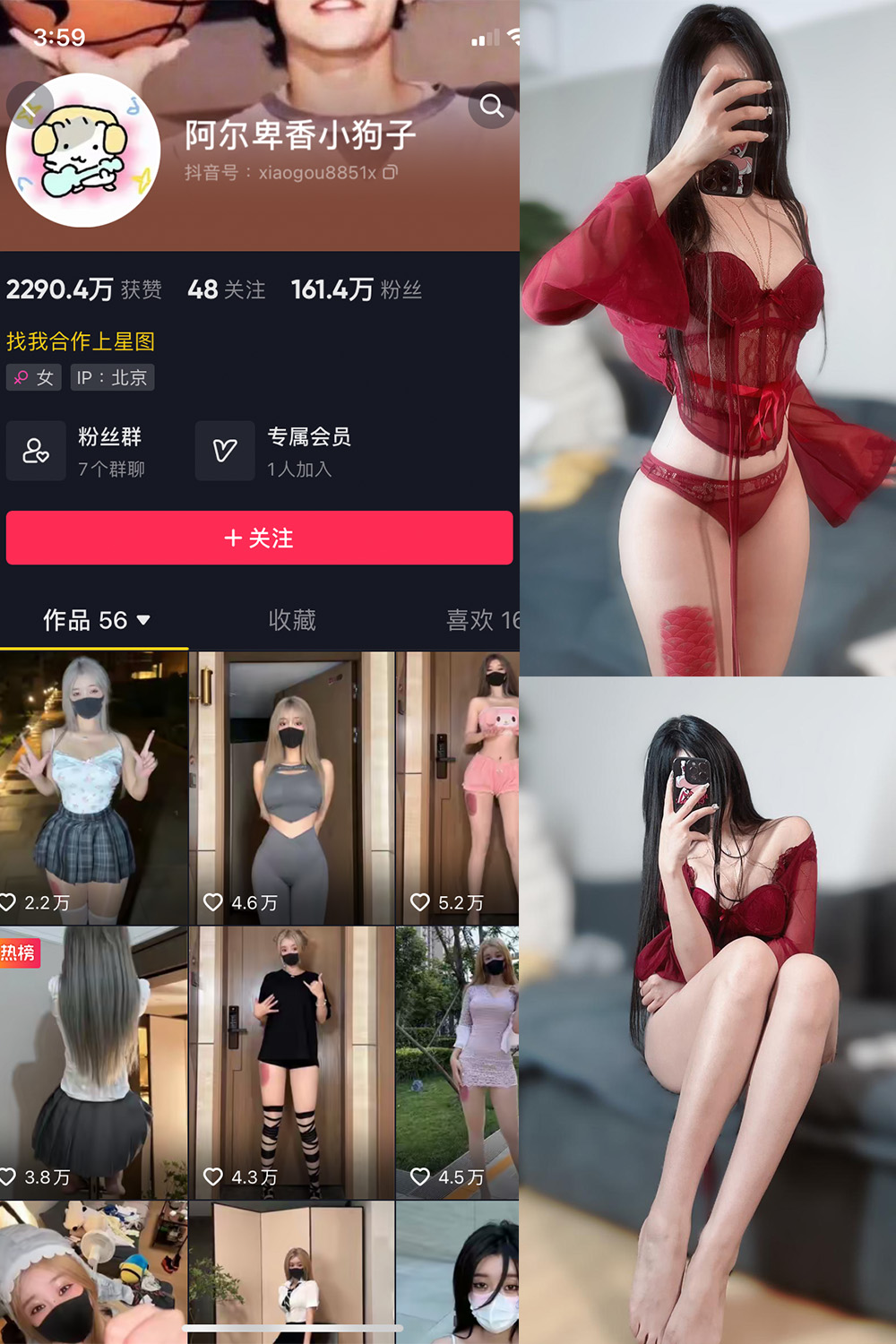 抖音 阿尔卑香小狗子 微密圈 NO.025期 【10P2V】最新至: