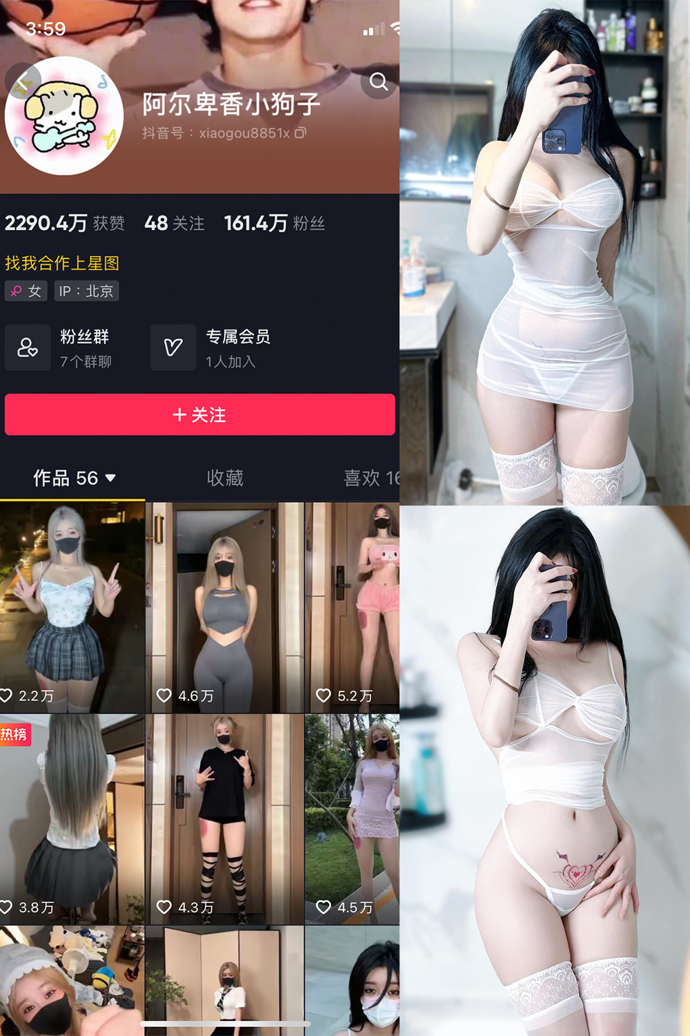 抖音 阿尔卑香小狗子 微密圈 NO.022期 【9P】最新至: