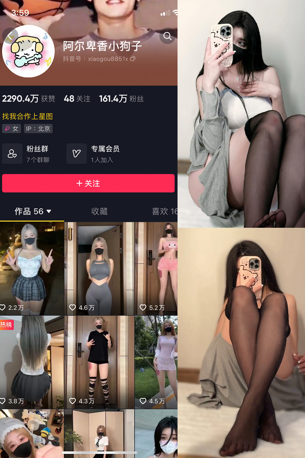 抖音 阿尔卑香小狗子 微密圈 NO.042期 【6P1V】最新至: